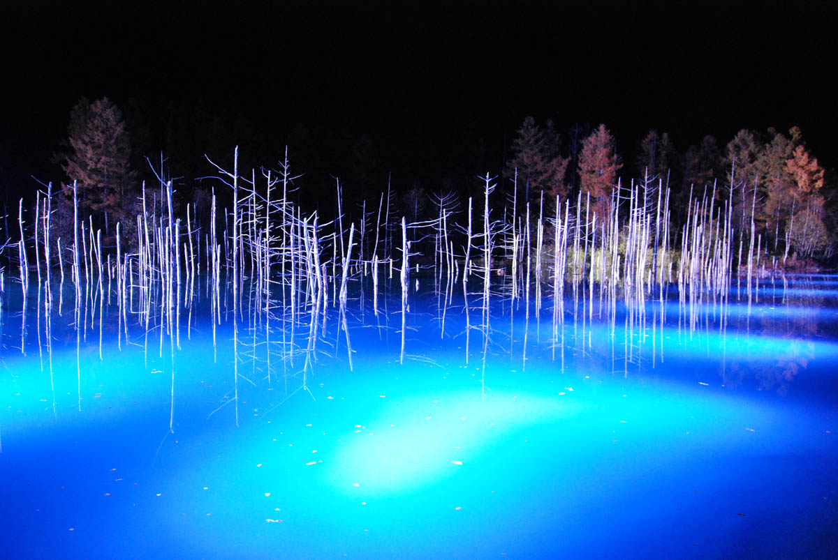 青い池ライトアップ11月散策 ホームページ制作